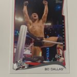 Bo Dallas WWE 2014 Topps Rookie Card #4
