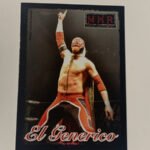 El Generico aka Sami Zayn 2010 MWR True Rookie Card ROH WWE