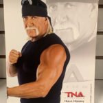 Hulk Hogan Official TNA Promo 2010 (Authentic Promo)