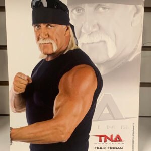 Hulk Hogan Official TNA Promo 2010 (Authentic Promo)